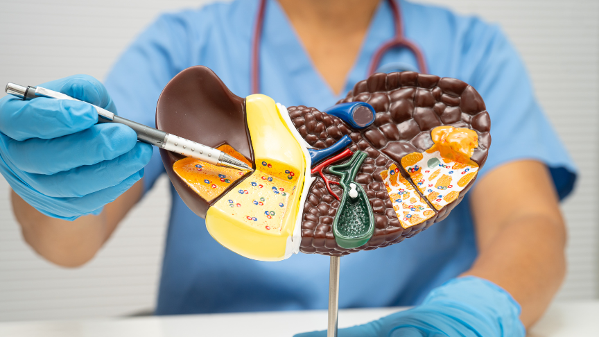 Liver health mascot